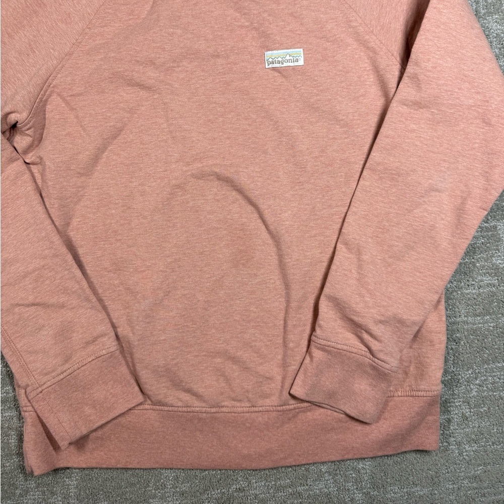 Patagonia Pastel organic Cotton Crewneck Long Sleeve Sweatshirt Women Size M - Picture 2 of 7